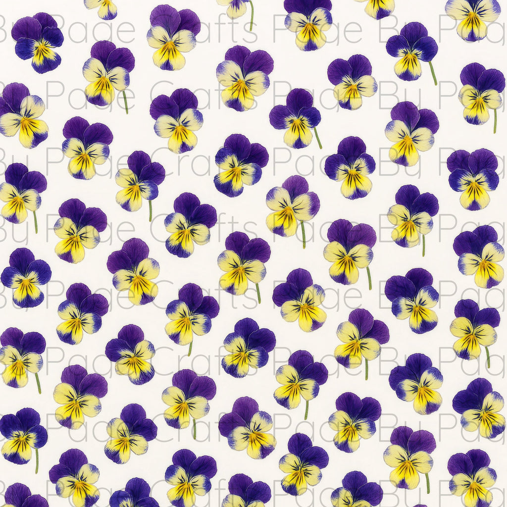 Fancy Florals