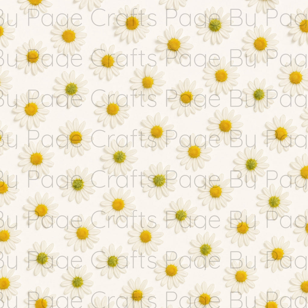 Fancy Florals