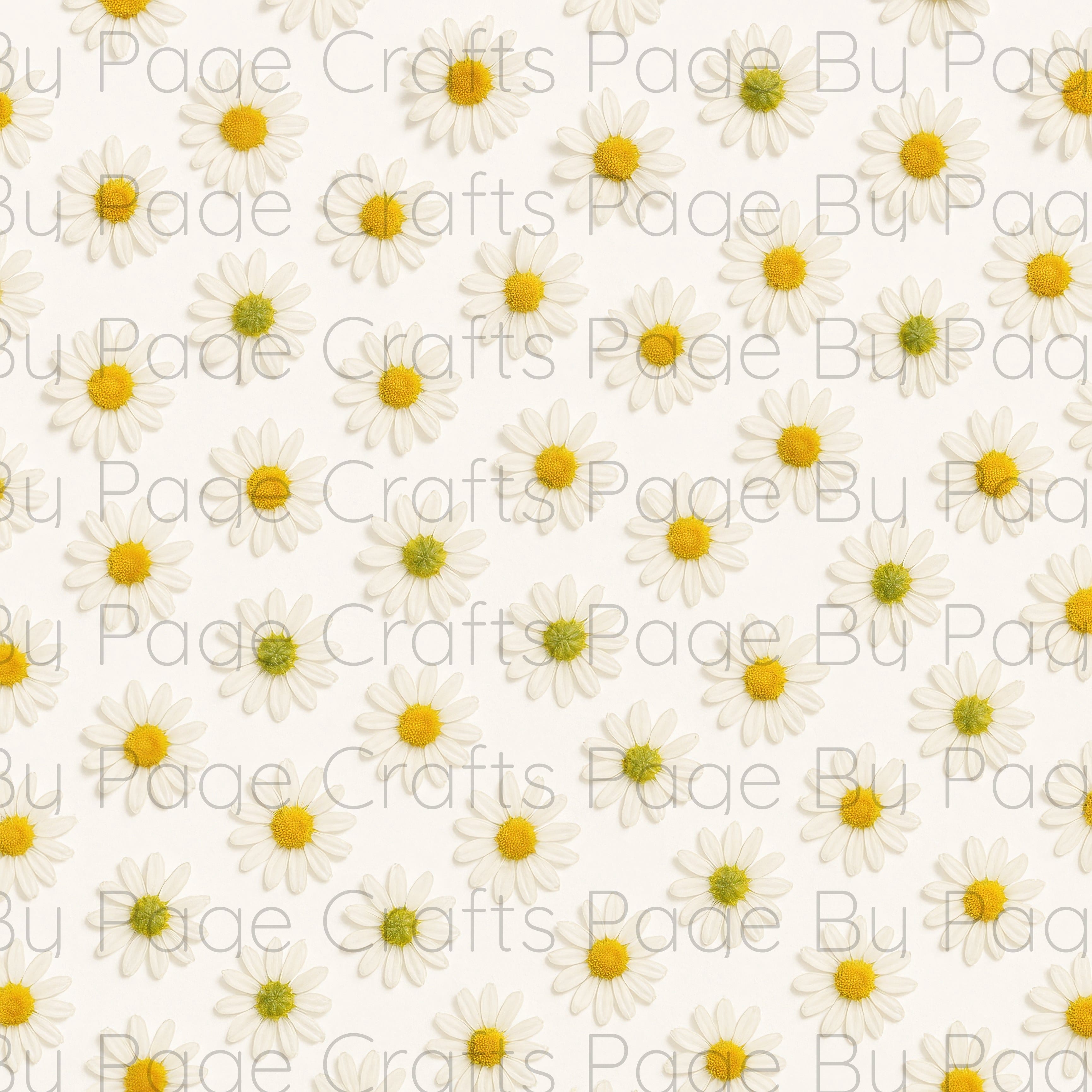 Fancy Florals