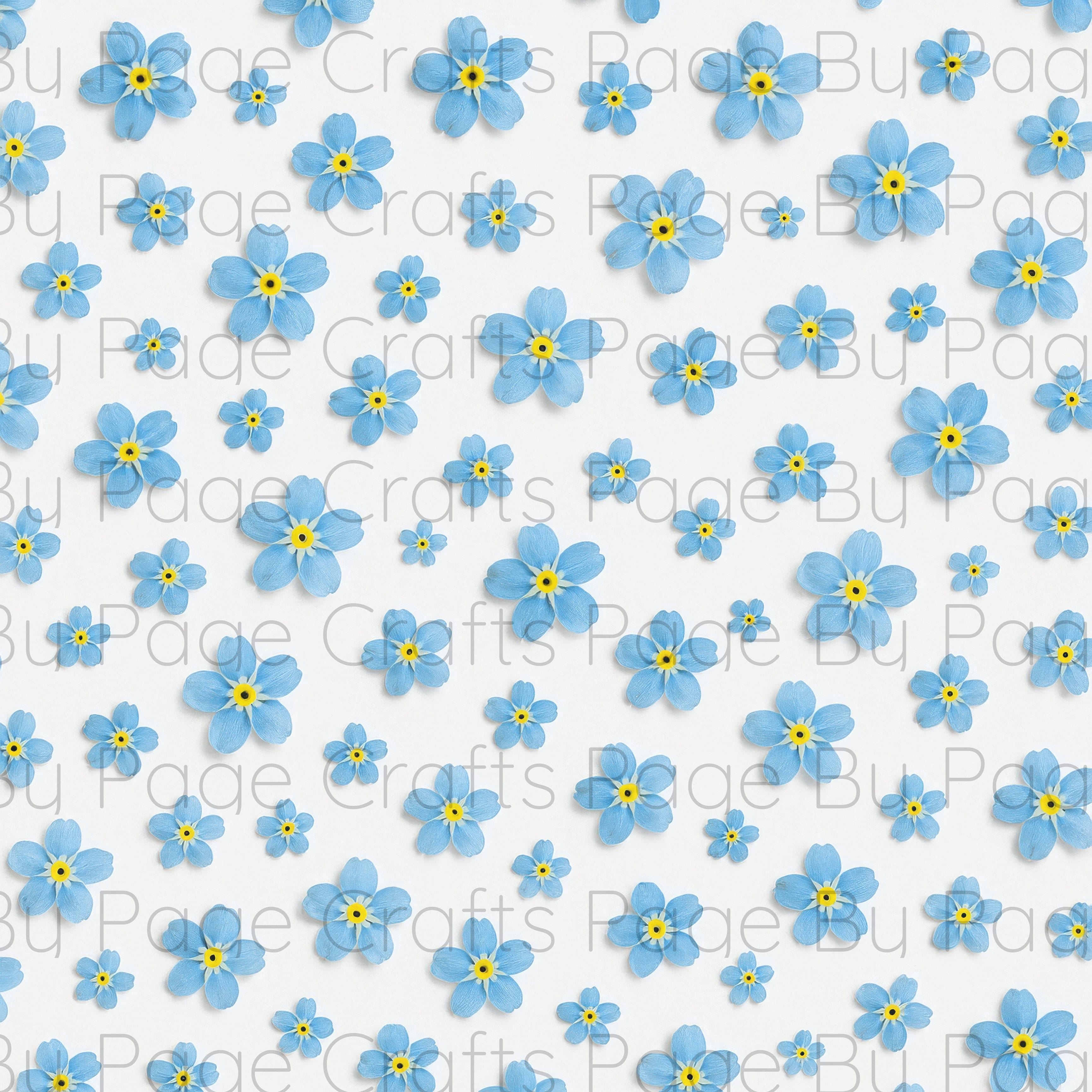 Fancy Florals