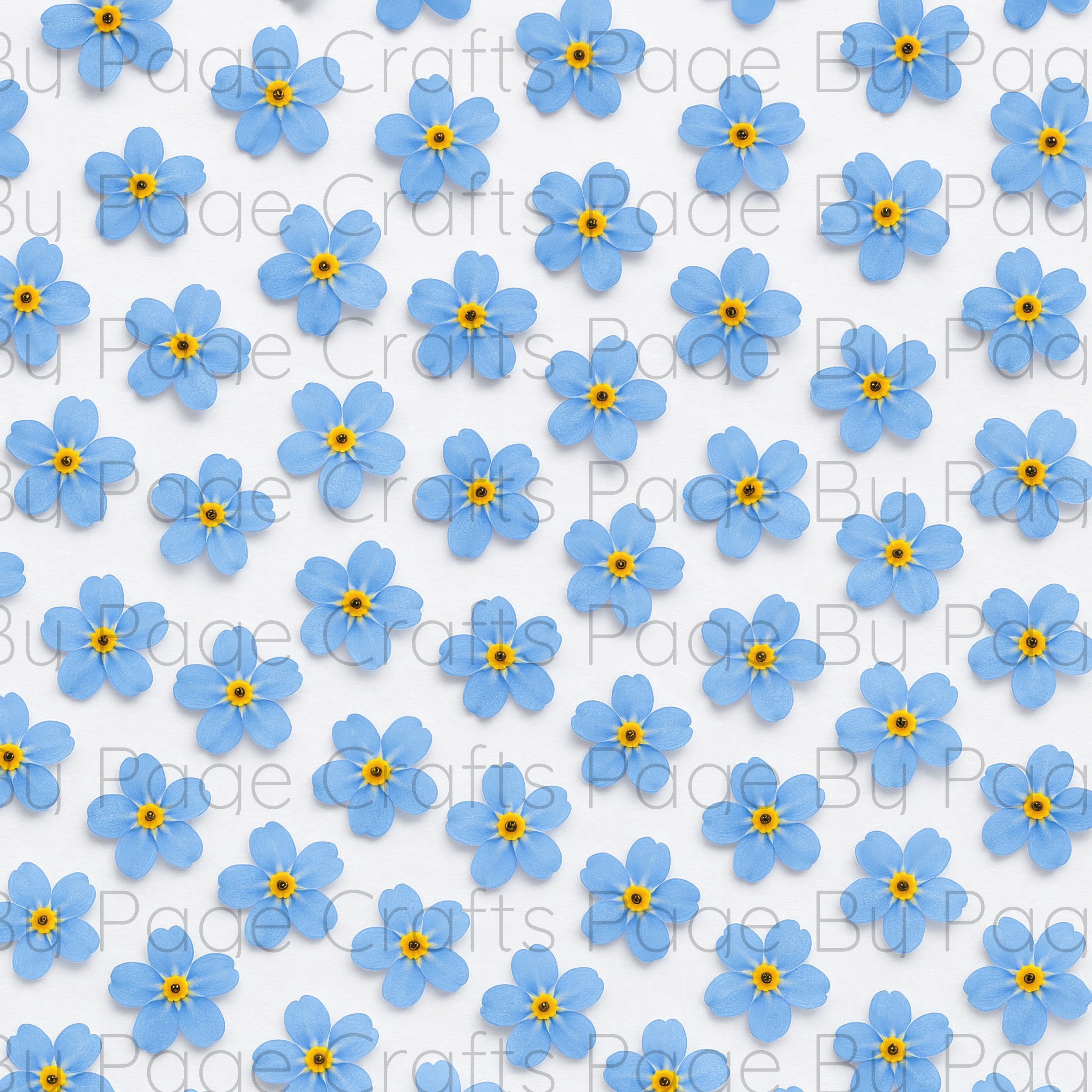 Fancy Florals
