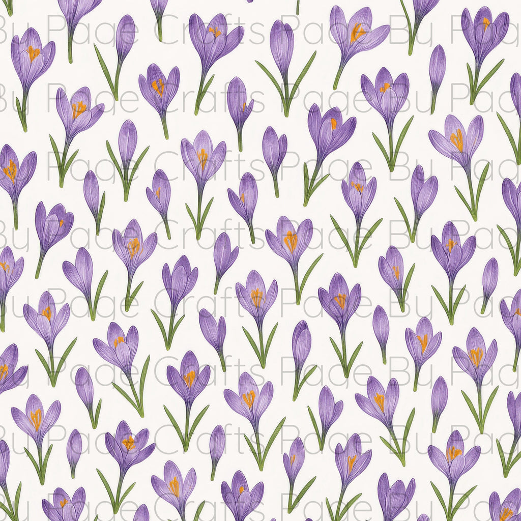 Fancy Florals