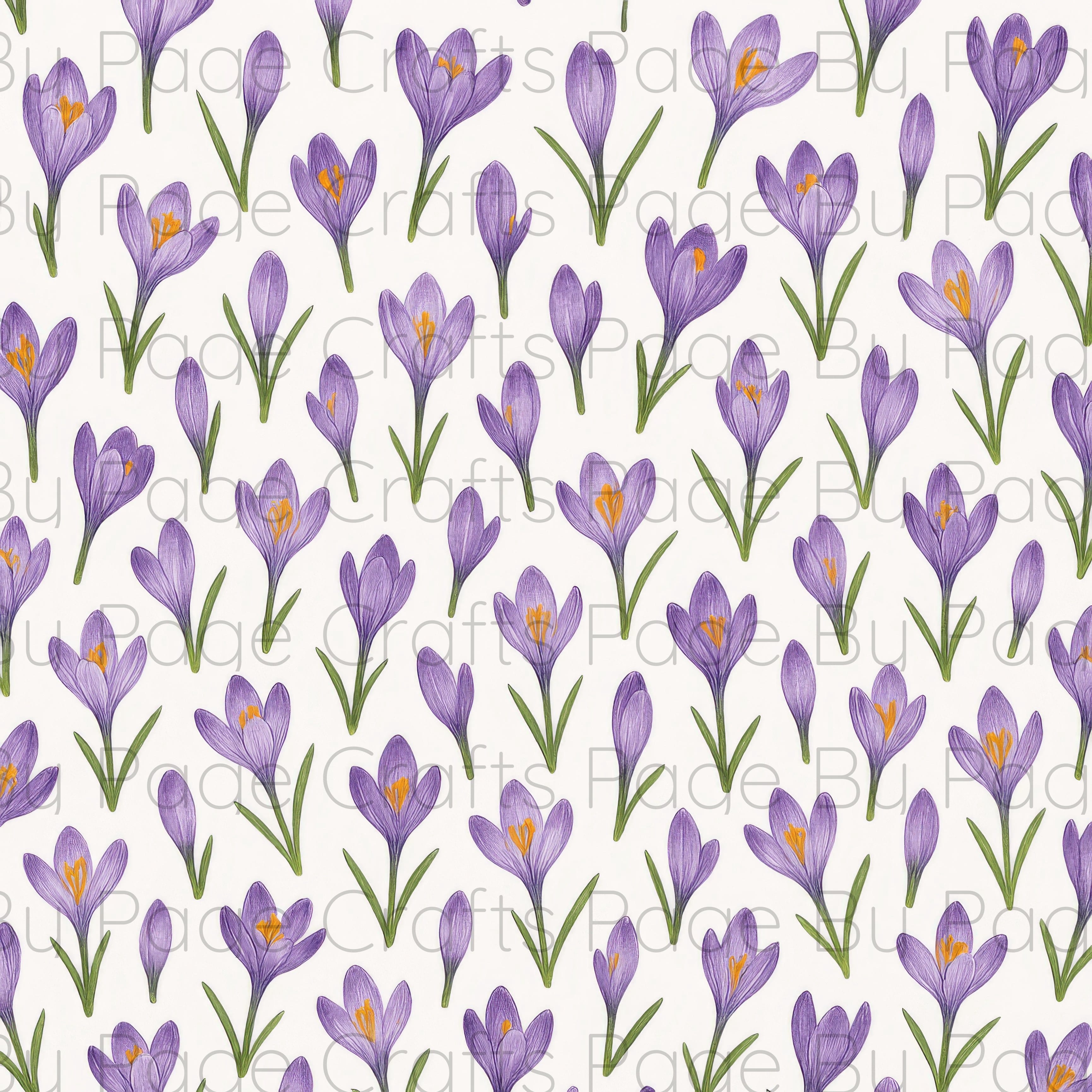 Fancy Florals