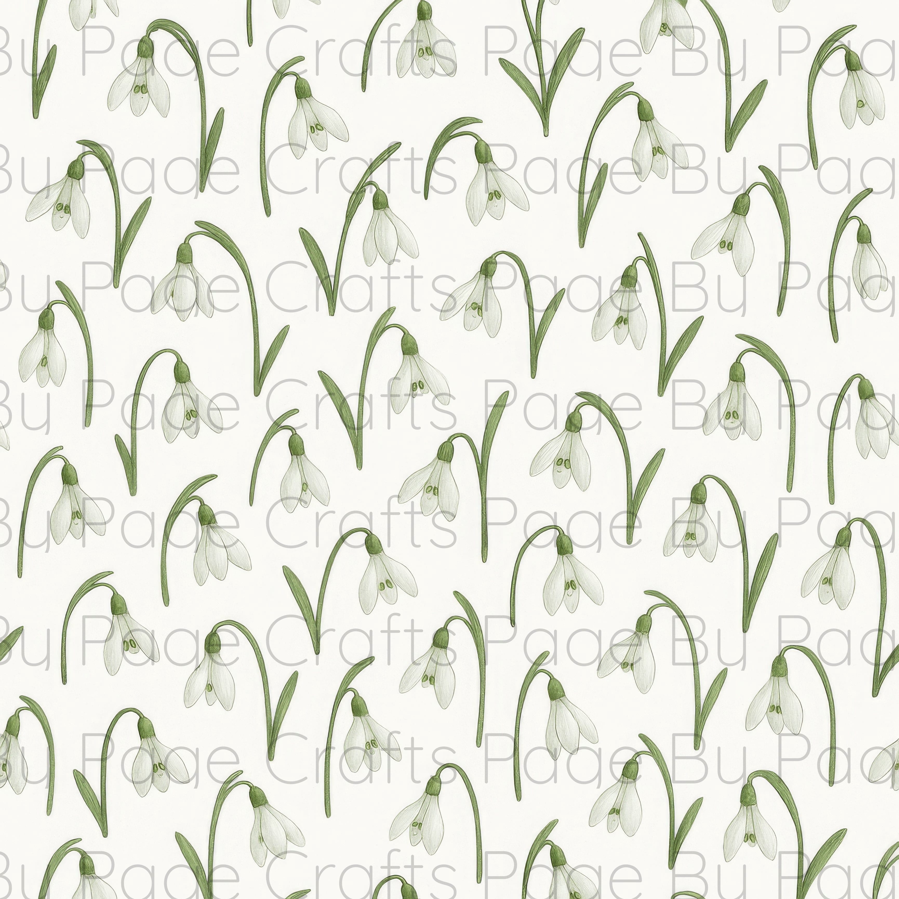 Fancy Florals