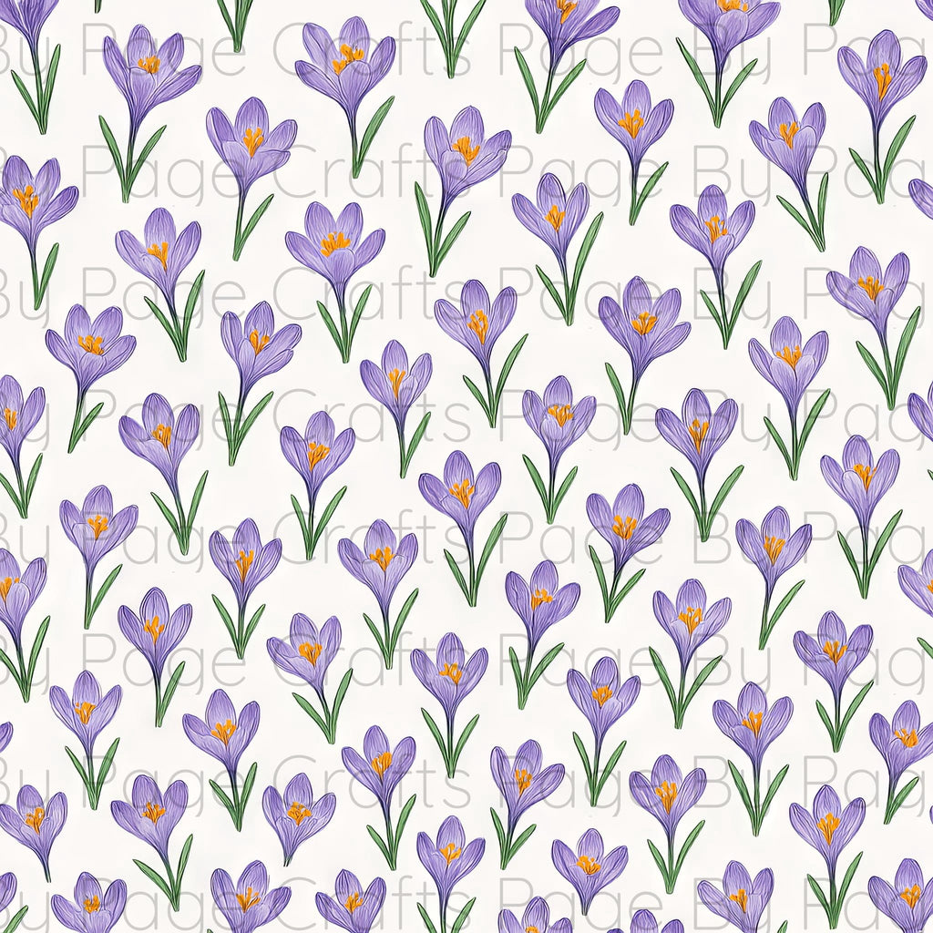 Fancy Florals