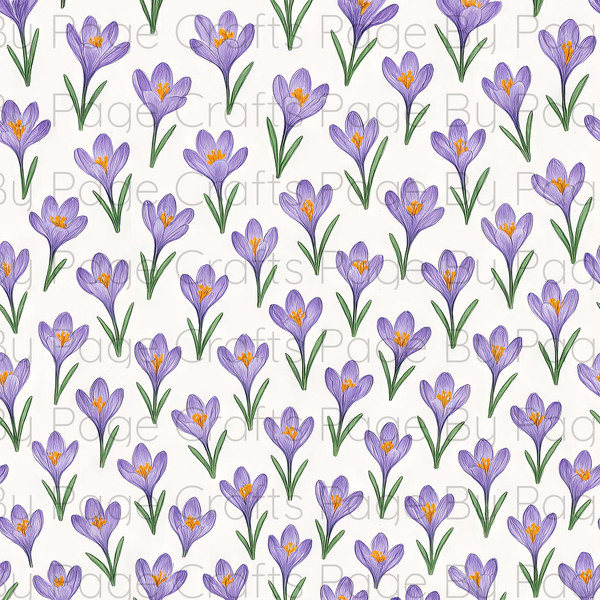 Fancy Florals