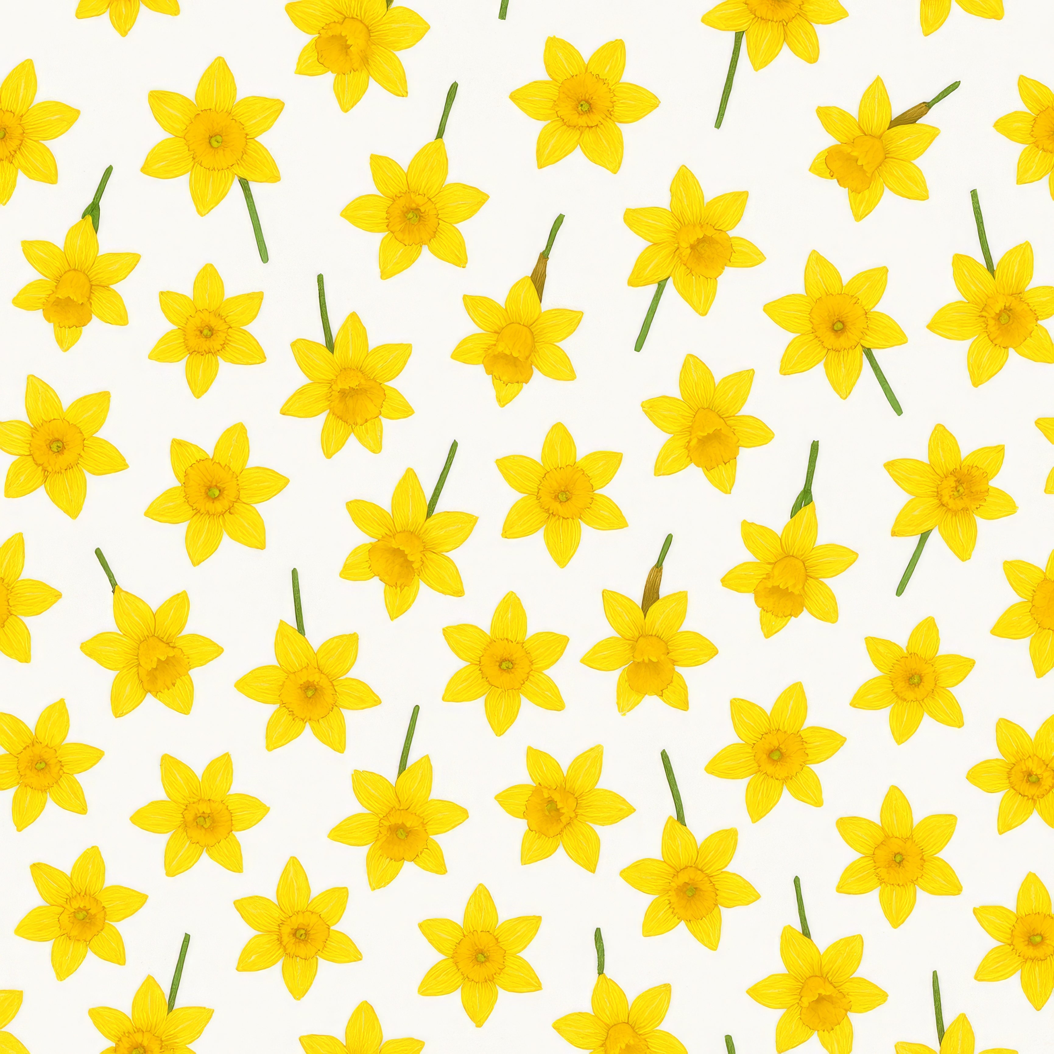 Fancy Florals
