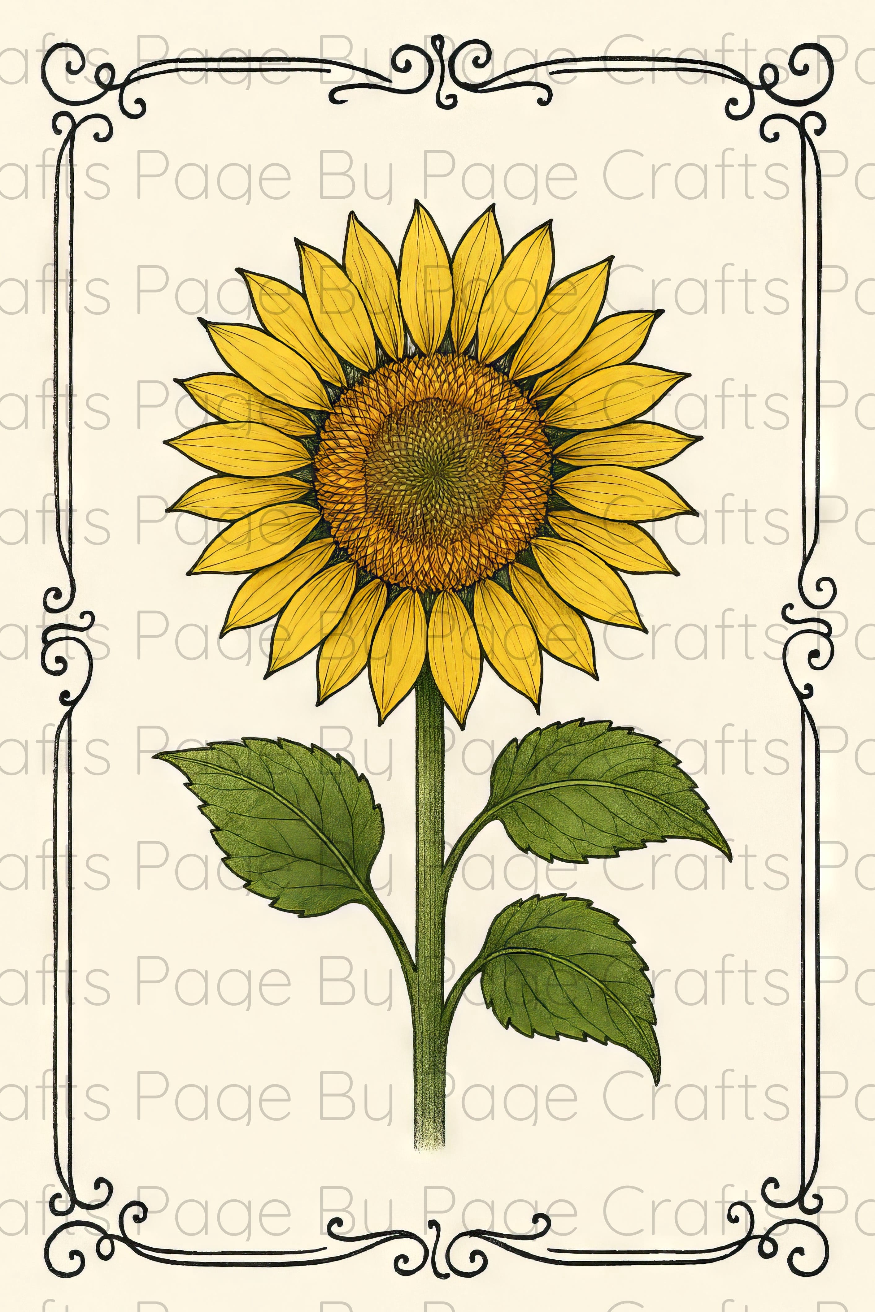 Sunflower Flourish Deluxe pt 1